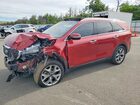 2019 Kia Sorento Ex Sport Красный vin: 5XYPHDA56KG594390