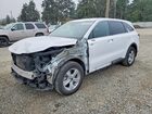 2024 Kia Sorento Lx White vin: 5XYRG4JC2RG300956