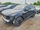 2024 Kia Sorento S Black vin: 5XYRL4JC6RG260019