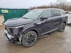 2024 Kia Sorento S Черный vin: 5XYRLDJC4RG302221