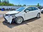 2020 Toyota Corolla Le Белый vin: 5YFBPRBE4LP016858