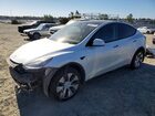 2020 Tesla Model Y White vin: 5YJYGDEE1LF057548