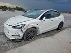 2024 Tesla Model Y White vin: 7SAYGDED6RA326191