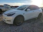 2025 Tesla Model Y White vin: 7SAYGDEE1SF263437