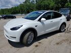 2023 Tesla Model Y White vin: 7SAYGDEE7PF674980