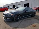 1FA6P8CF7G5201594