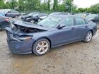 2025 Honda Accord Lx Gray vin: 1HGCY1F24SA084195