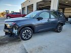 2025 Subaru Forester Gray vin: JF2SLDAC7SH478566
