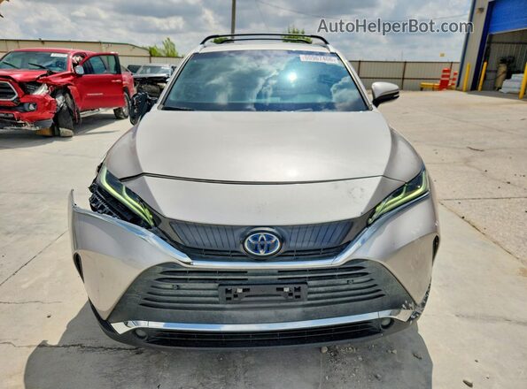 2021 TOYOTA VENZA XLE