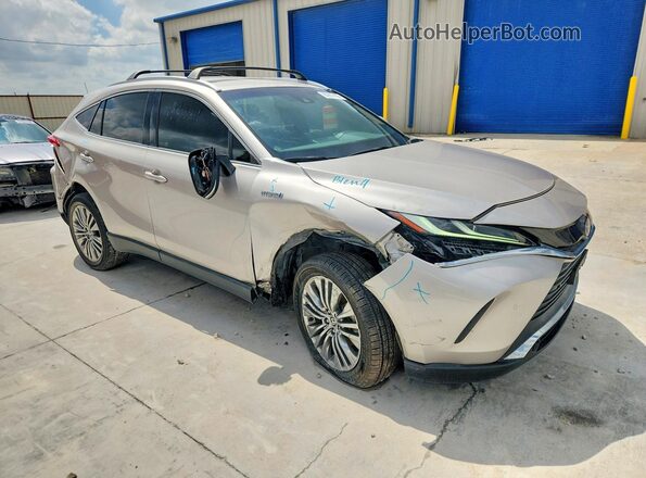 2021 TOYOTA VENZA XLE