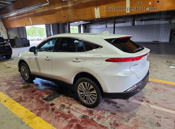 2024 TOYOTA VENZA XLE
