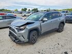 2023 Toyota Rav4 Limited Silver vin: JTMD6RFV2PD097051
