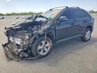 2019 Toyota Rav4 Xle Black vin: JTMP1RFVXKD026409