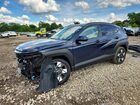 2024 Hyundai Kona Sel Blue vin: KM8HBCAB3RU179151