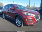2019 Hyundai Tucson Value Красный vin: KM8J33A43KU057380