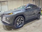2024 Hyundai Tucson Limited Green vin: KM8JECD16RU229729