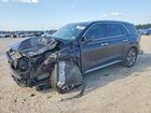 2021 Hyundai Palisade Calligraphy Black vin: KM8R74HE2MU293100