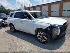 2021 Hyundai Palisade Calligraphy White vin: KM8R7DHEXMU314114