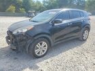 2019 Kia Sportage Lx Black vin: KNDPM3AC1K7515015