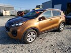 2017 Kia Sportage Lx Gold vin: KNDPMCAC2H7124772