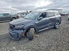 2023 Kia Sorento Ex Black vin: KNDRHDLG0P5194591