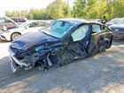 2024 Tesla Model Y Black vin: LRWYGDEE0RC630846