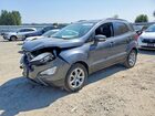 2019 Ford Ecosport Se Gray vin: MAJ3S2GE3KC304242