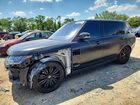 2019 Land Rover Range Rover Supercharged Gray vin: SALGS5RE5KA520124