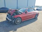 2019 Mercedes-benz C 300 Red vin: WDDWK8DB6KF844211