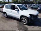 2017 Volkswagen Tiguan 2.0t/2.0t S White vin: WVGAV7AX5HK026213