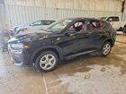 2024 Dodge Hornet Gt Plus Black vin: ZACNDFBN7R3A27183