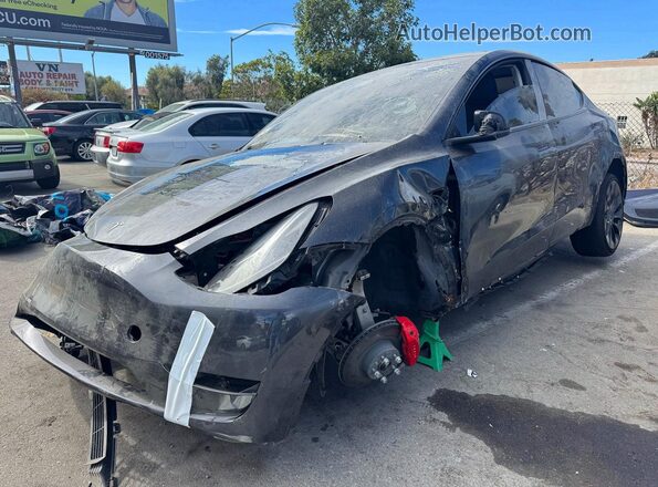 2024 TESLA MODEL Y