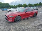 2019 Ford Mustang Красный vin: 1FA6P8TH4K5196610