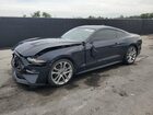 2021 Ford Mustang Black vin: 1FA6P8TH6M5104741