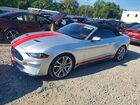 2019 Ford Mustang Gt Silver vin: 1FATP8FF0K5163665