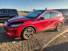 2020 Ford Escape Sel Красный vin: 1FMCU0H62LUC30660