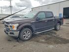 2019 Ford F150 Supercrew Purple vin: 1FTEW1CP4KFA73777