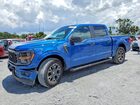 2025 Ford F150 Stx Синий vin: 1FTEW2KP0SKE04353