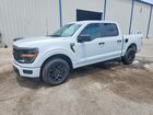 2025 Ford F150 Stx Gray vin: 1FTEW2KPXSKF75479