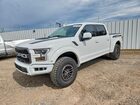 2019 Ford F150 Raptor White vin: 1FTFW1RGXKFA76159