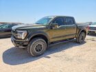 2024 Ford F150 Raptor Green vin: 1FTFW1RGXRFA43270