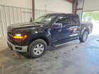2024 Ford F150 Xlt Black vin: 1FTFW3LDXRFA48429