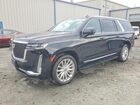 2023 Cadillac Escalade Esv Premium Luxury Black vin: 1GYS4KKL3PR321546