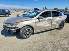 2017 Honda Accord Lx Gold vin: 1HGCR2F30HA110618