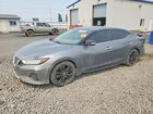2020 Nissan Maxima Sv Серый vin: 1N4AA6CV8LC361271