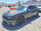2019 Dodge Charger Scat Pack Серый vin: 2C3CDXGJ3KH579156