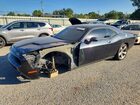 2017 Dodge Challenger R/t Gray vin: 2C3CDZBT4HH657974