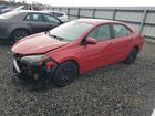 2017 Toyota Corolla Le Red vin: 2T1BURHE6HC755205