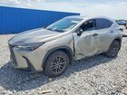 2025 Lexus Nx 250 Base Gray vin: 2T2ADCAZ9SC030108