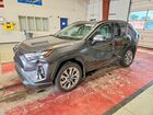 2025 Toyota Rav4 Xle Premium Gray vin: 2T3A1RFV2SW583033